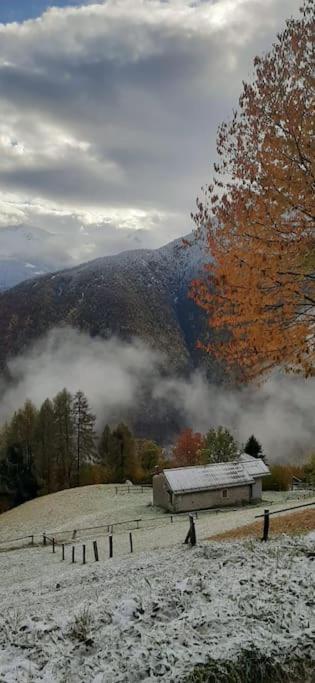 Graziosa, Casetta In Valgerola Rasura المظهر الخارجي الصورة