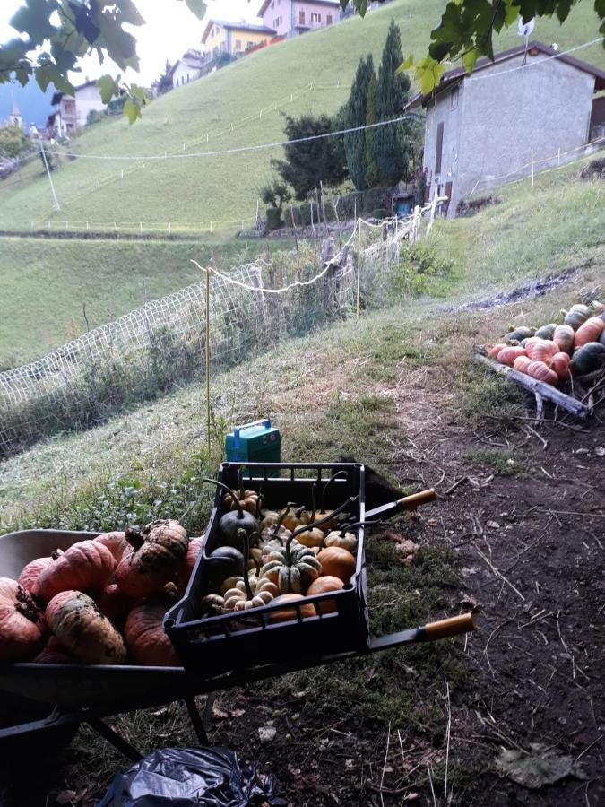 Graziosa, Casetta In Valgerola Rasura المظهر الخارجي الصورة